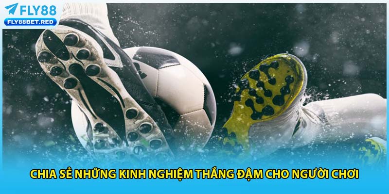 Chia sẻ những kinh nghiệm thắng đậm cho người chơi