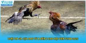 Luật đá gà cựa dao