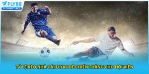 Tỷ lệ kèo nhà cái